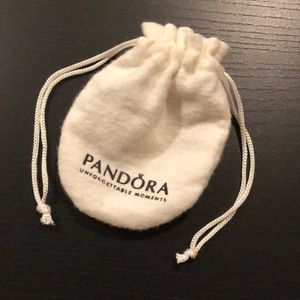 Pandora Bracelet with Charms, Clasps, & Bag